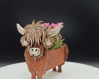 Kit de maceta miniatura Highland Cow