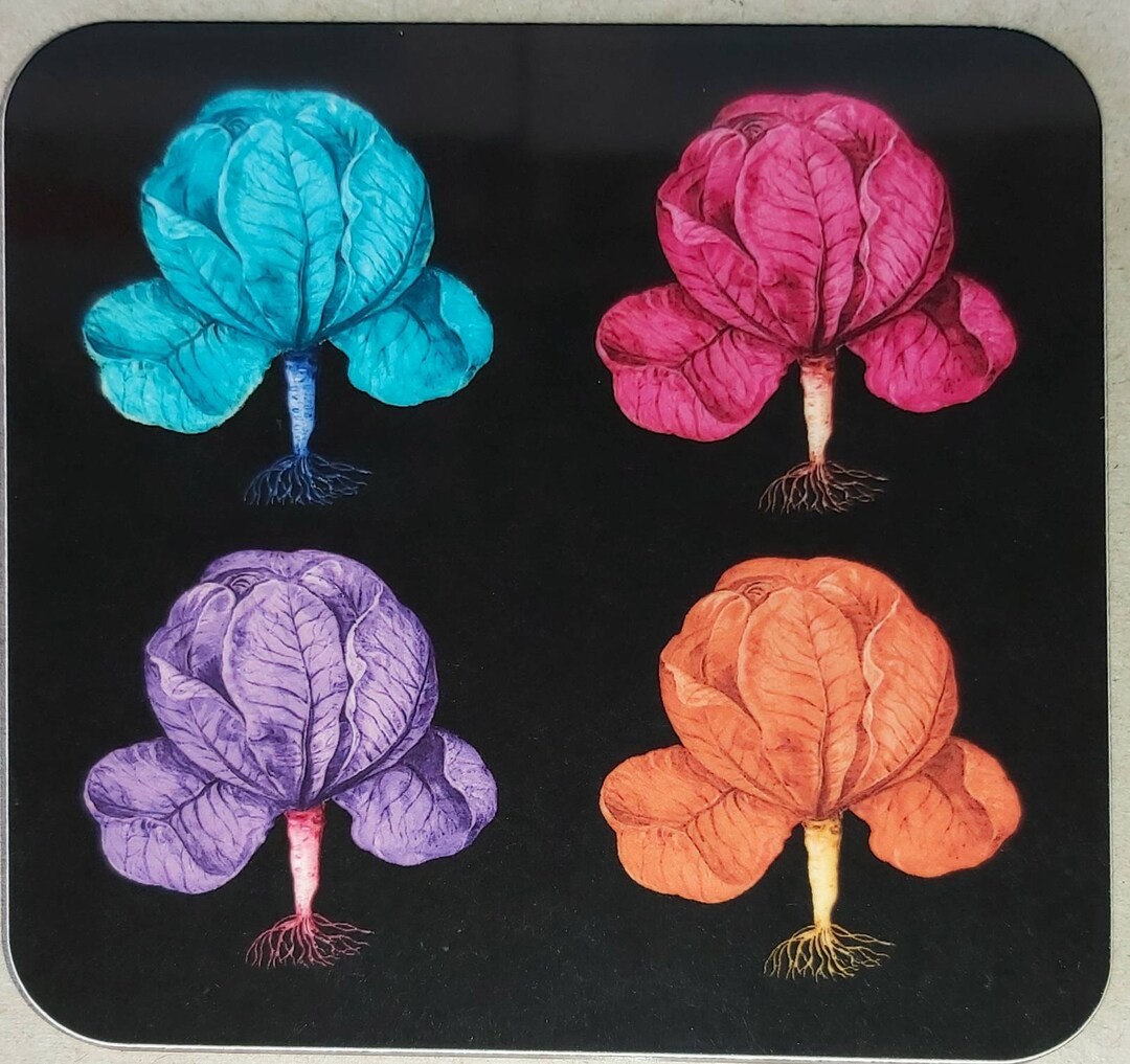 Melamine Coaster Drinks Mat Antique Cabbage Botanical Design Black