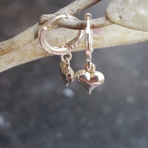 Silver-plated earrings with a heart and with/without birthstone for the months of the year,