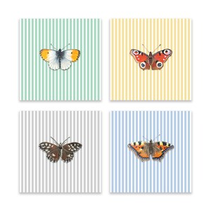 Conjunto de borboletas Wicklow com 8 cartas variadas e adesivos de envelope