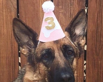 May include: A German Shepherd dog wearing a pink party hat with a gold glitter number 3. The hat has a white pom-pom on top. The dog is wearing a blue collar with a floral pattern. The background is a wooden fence.