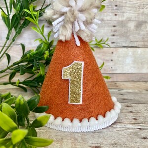 May include: Orange felt party hat with a white pom-pom on top and a gold glitter number "1" on the front. The hat has a white pom-pom trim around the bottom.