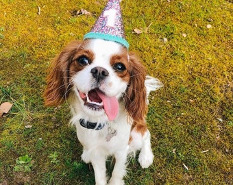 Mini gorro de fiesta de cumpleaños con confeti y purpurina - Personalizable para la sesión de fotos de cumpleaños de mascotas o niños.