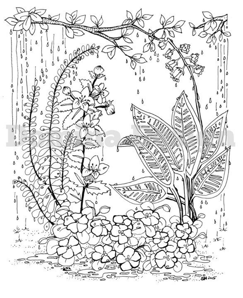 660 Coloring Pages For Adults Rain Images & Pictures In HD 660 Coloring Pages For Adults Rain Images & Pictures In HD