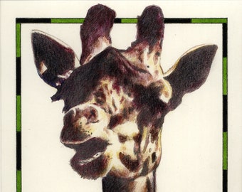 Giraffe