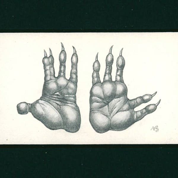 Koala Bear Hands. 3.5" X 2". Graphite drawing from Runners, Bouncers etc. Pop-up.