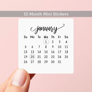May include: A white sticker with the month of January displayed as a calendar. The sticker has the days of the week and dates, with the 20th circled. The text "12-Month Mini Stickers" is at the top.