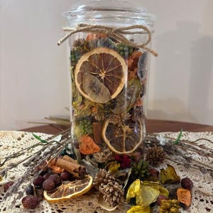Juicy Watermelon Scented Potpourri with Refresher Oil, Summer Dried Berries Florals