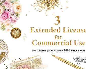 Package of Three Extended Licenses for Commercial Use | Discount Package | UNLIMITED