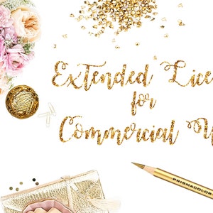 Licence étendue pour un usage commercial - Module complémentaire - À acheter avec l'œuvre elle-même - ILLIMITÉE