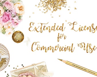 Extended License for Commercial Use - Add-On - To Be Purchased with the Artwork Itself -  UNLIMITED
