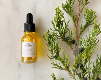 Amboise Perfumed Hair Oil | Cedarwood, Juniper, Orange | Natural, Botanical Serum | Essential Oils, Jojoba, Rosehip, Argan, Cactus