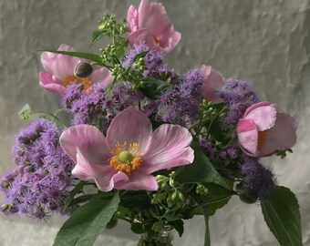Floral Arrangement Photo of Anemones and Ageratum Flowers in Vase, Summer Flowers, Pink and Lavender