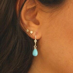 December Birthstone Earrings / Blue Turquoise Dangle Drop Earrings / Sterling Silver Earrings / 1 Pair