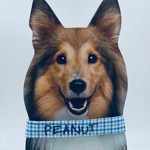 Dog collar Blue plaid dog collar personalized embroidered dog collar deluxe dog collar with name