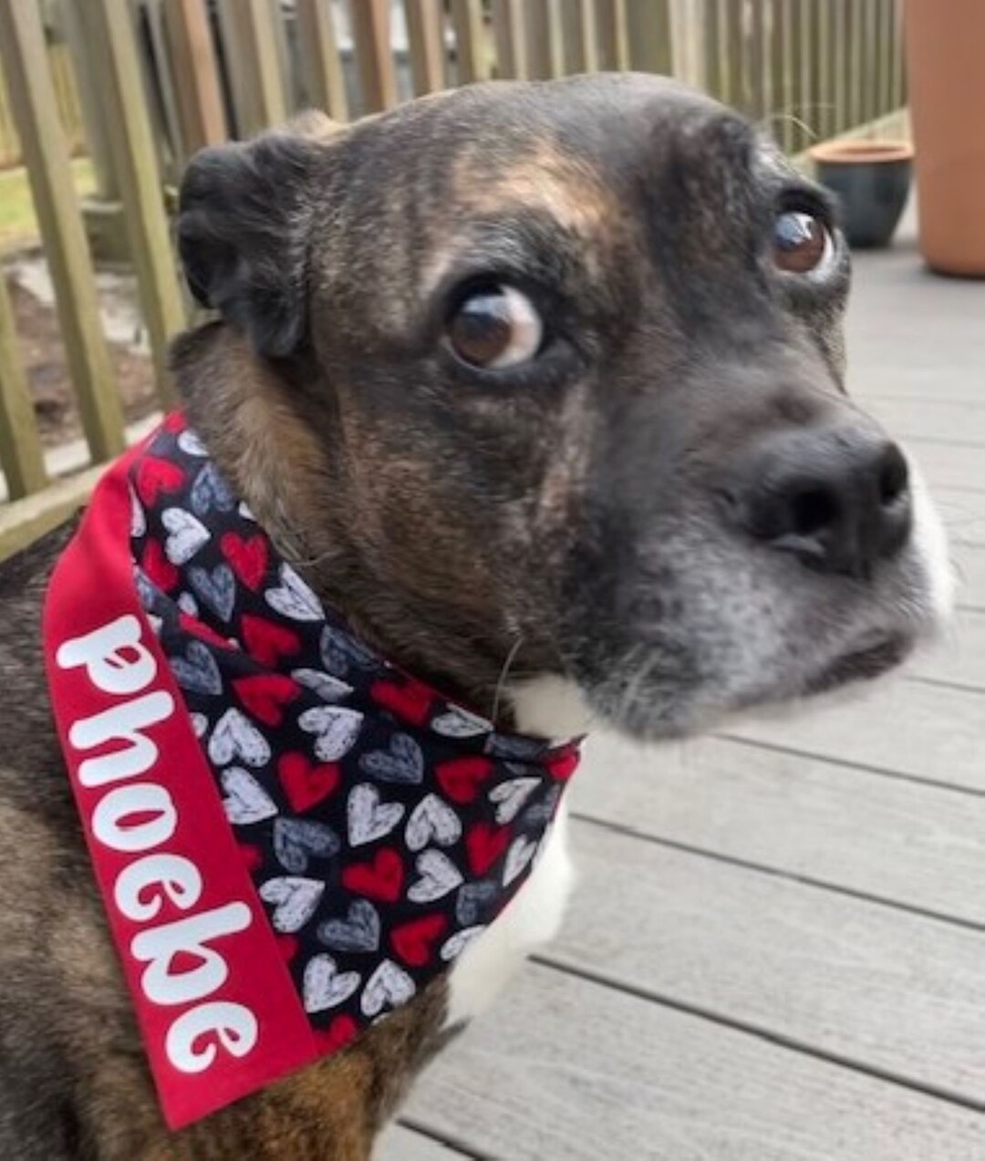 Valentine's Day Dog Bandana, Clip On, Personalized Red Heart Print Dog