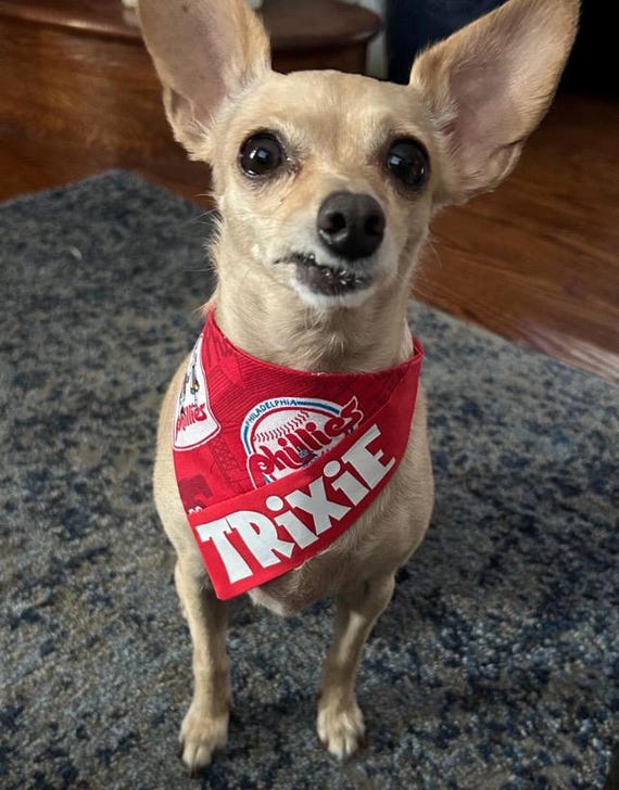 Phillies Bandana Dog Bandana Baseball Philadelphia Team Bandana Personalized Bandana Etsy
