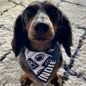 Penn State bandana, Dog bandana, personalized bandana