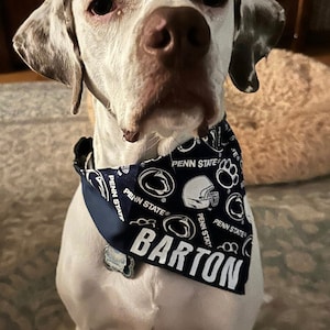 Pets First Collegiate Penn State Nitanny Lions Reversible Bandana - Home &  Away Mesh & Premium Embroidery for DOGS & CATS 
