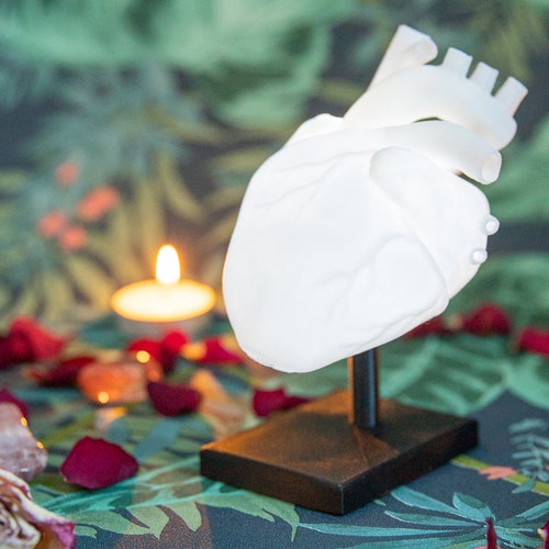Anatomical Heart Shaped Lamp - Alternative Valentines Day Gift - Gothic - Mother Days Gift
