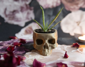 Medium Glittery Gold Skull Plant Pot - Skull Planter - Human head Pot  - Gothic Home - 3D Printed Skull - Spooky Skull Halloween Decoration