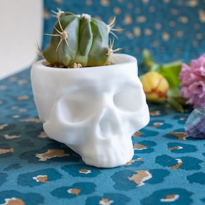 Könnte beinhalten: Ein weißer Schädel-Pflanztopf aus Keramik mit einer kleinen grünen Kakteenpflanze darin. Der Topf steht auf einer blauen und braunen gemusterten Oberfläche.