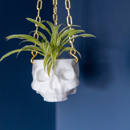 White Hanging Skull Planter with Gold Chain - Human Skull Plant Pot - Gothic Home - 3D Printed Skull - Spooky Skull - Halloween Decoration