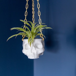 White Hanging Skull Planter with Gold Chain - Human Skull Plant Pot - Gothic Home - 3D Printed Skull - Spooky Skull - Halloween Decoration