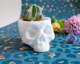 Medium white Skull Plant Pot - Skull Planter - Human Skull Plant Pot  - Gothic Home - 3D Printed Skull - Spooky Skull - Halloween Decoration