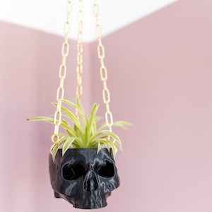 Black Hanging Skull Planter with Chain Human Skull Plant Pot Gothic Home 3D Printed Skull Spooky Skull Halloween Decoration image 4