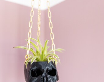 17+ Hanging Skull Planter