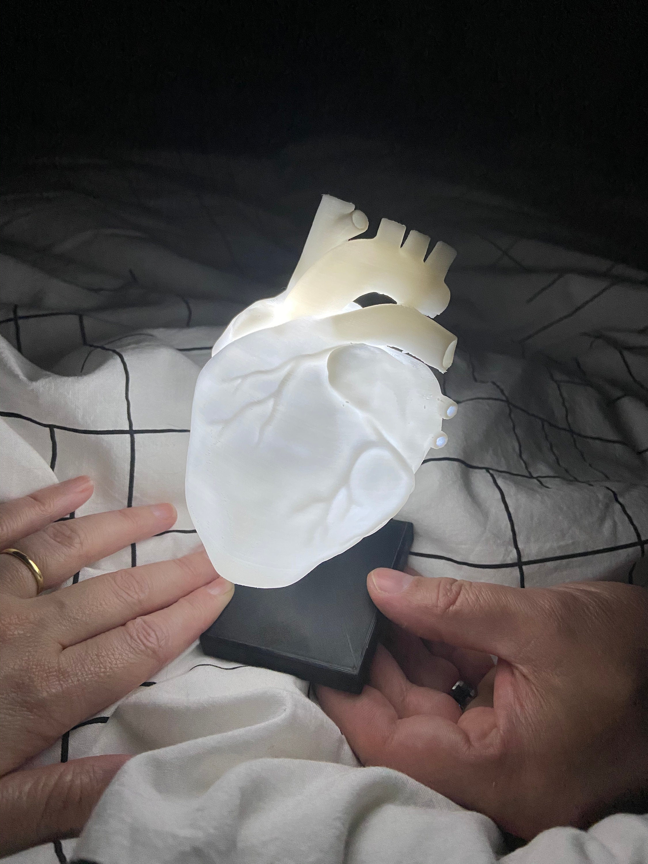 Anatomical Heart Shaped Lamp Alternative Valentines Day Gift - Etsy UK