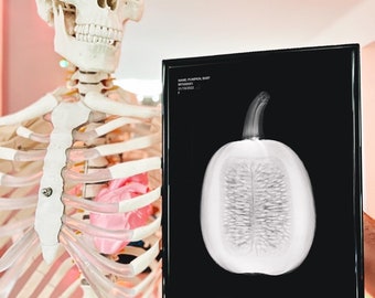 A6 limited edition Pumpkin X-ray Print