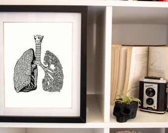 A4 Anatomical Lung Art Print