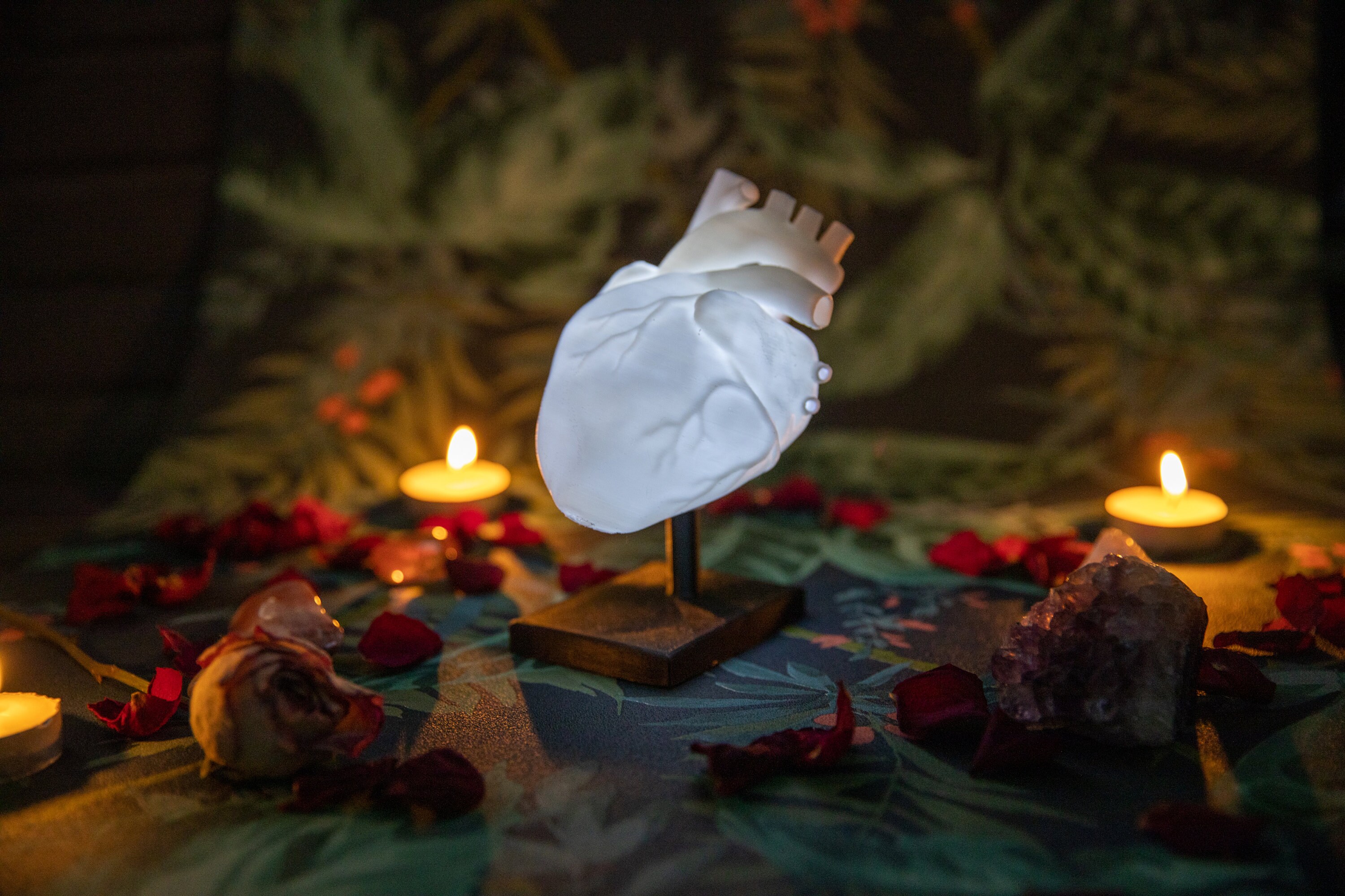 Anatomical Heart Shaped Lamp Alternative Valentines Day Gift - Etsy UK