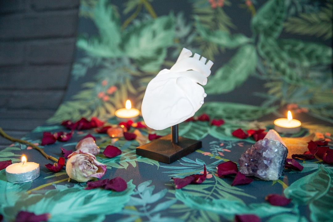 Anatomical Heart Shaped Lamp Alternative Valentines Day Gift - Etsy UK