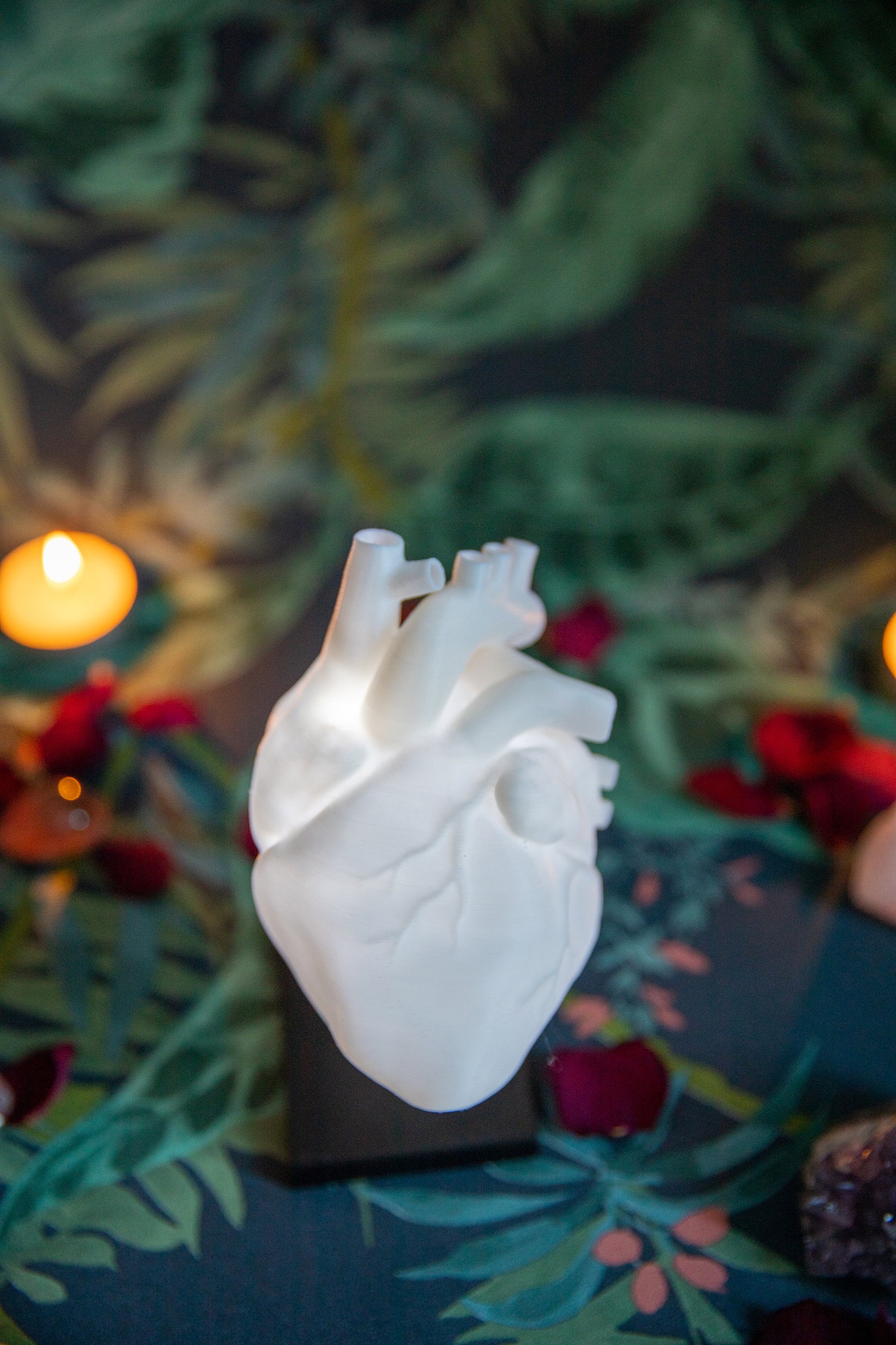 Anatomical Heart Shaped Lamp Alternative Valentines Day Gift - Etsy UK