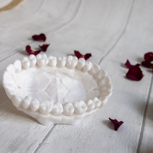 Teeth Bowl - Tooth Jewellery holder - Tooth Ring Dish - Dentist Gift - Jaw bone dish -  3D Printed - Quirky gift - Anatomical - Soap Dish