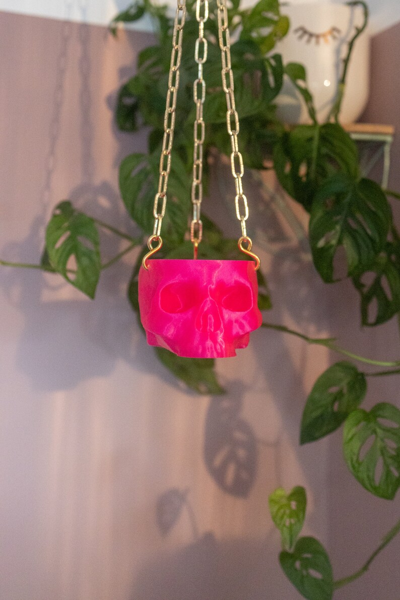 May include: A hot pink skull-shaped planter suspended by a gold chain. The planter is hanging in front of a leafy green plant. The skull planter adds a unique, gothic touch to any space.