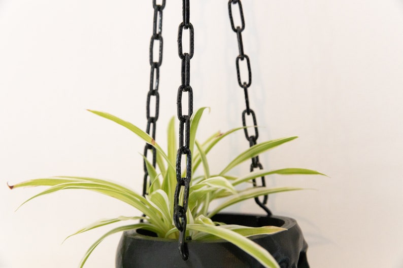 Black Hanging Skull Planter with Chain Human Skull Plant Pot Gothic Home 3D Printed Skull Spooky Skull Halloween Decoration image 3