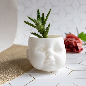 May include: A white ceramic planter shaped like a doll's head with a small green succulent plant growing inside.