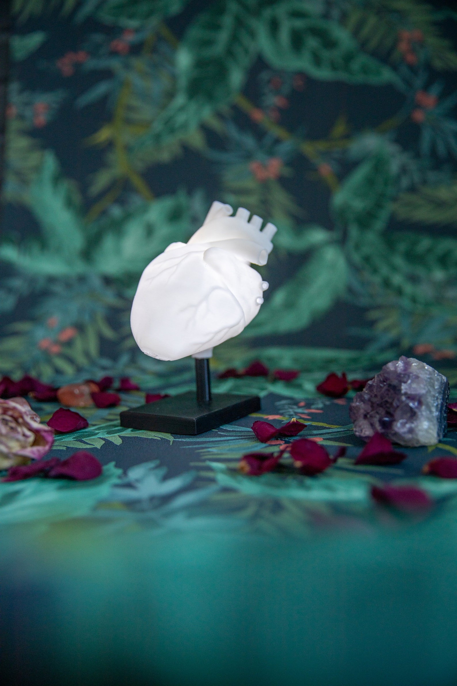 Anatomical Heart Shaped Lamp Alternative Valentines Day Gift - Etsy UK