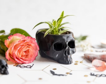 Medium Black Skull Plant Pot - Skull Planter - Human Skull Plant Pot  - Gothic Home - 3D Printed Skull - Spooky Skull - Halloween Decoration