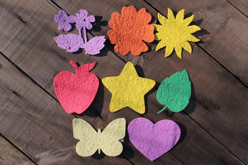 You are an amazing teacher 8 seed paper shapes available image 2