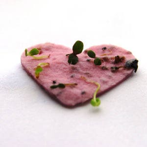 100 Seed Paper Confetti Hearts Wildflower seeds image 5