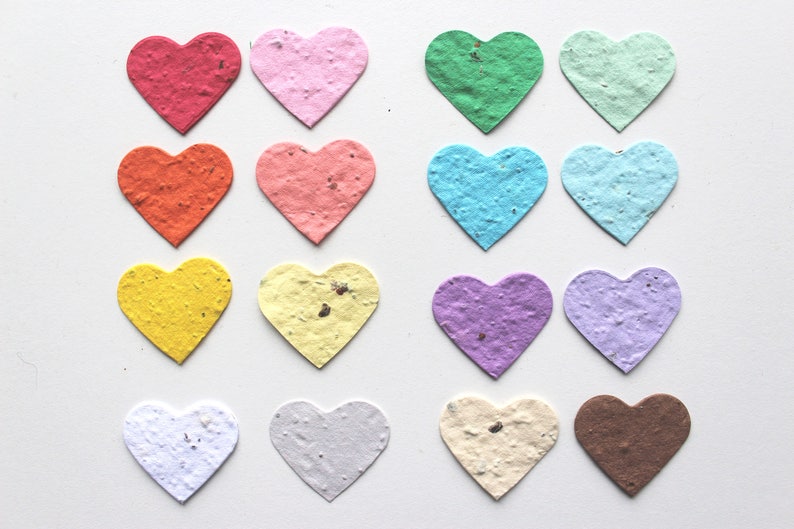 100 Seed Paper Confetti Hearts Wildflower seeds image 1