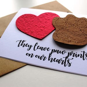 They leave paw prints on our hearts 16 seed paper colors available pet sympathy, rainbow bridge, loss of a pet, sympathy card image 2