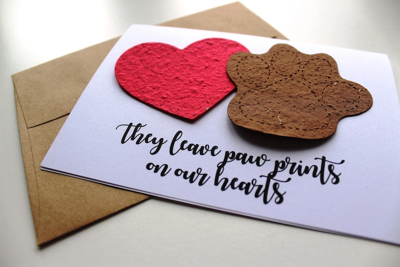 They leave paw prints on our hearts 16 seed paper colors available pet sympathy, rainbow bridge, loss of a pet, sympathy card image 2