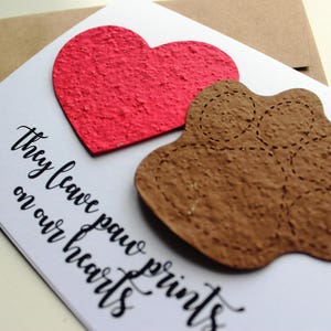 They leave paw prints on our hearts 16 seed paper colors available pet sympathy, rainbow bridge, loss of a pet, sympathy card image 4