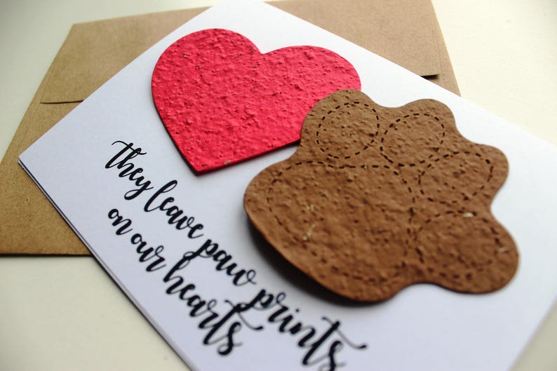 They leave paw prints on our hearts 16 seed paper colors available pet sympathy, rainbow bridge, loss of a pet, sympathy card image 4